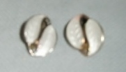 M832M David Andersen 925s and enamel earrings